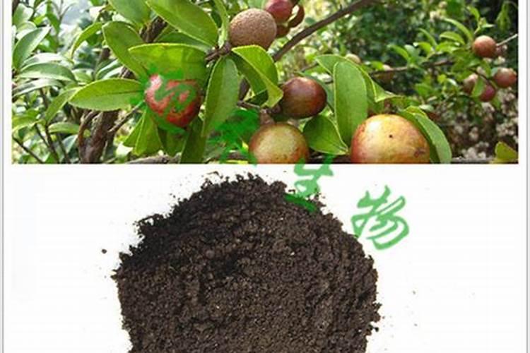 悬浮液体水溶肥与粉剂水溶肥相比优势在哪？