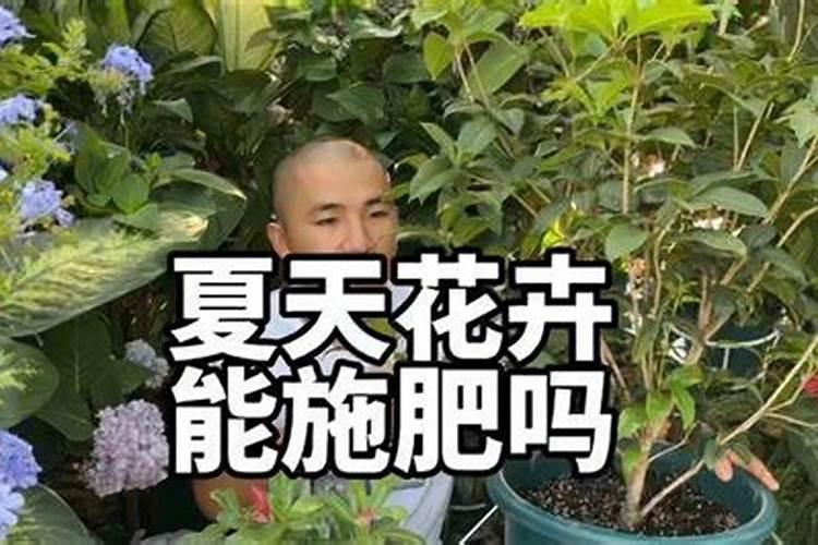 夏天花可以施肥吗