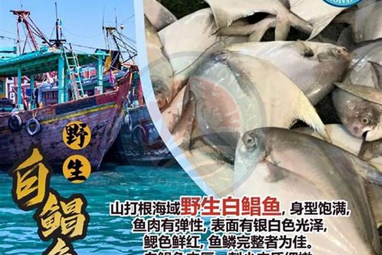 钙镁磷肥使用注意事项