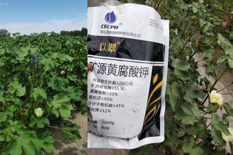 肌肽原液的功效与作用