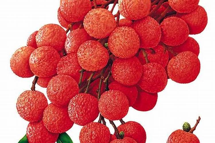 葡萄成熟期能用什么肥？