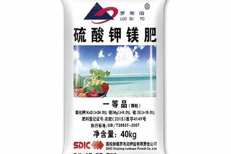 罗布泊矿产资源
