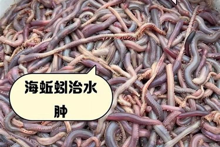 怎么让土里有蚯蚓