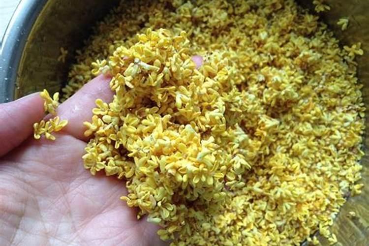 桂花花肥制作与使用方法