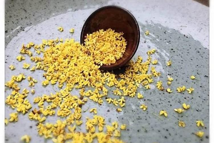 桂花能多久浇一次尿素 桂花需要隔多久浇一次尿素？