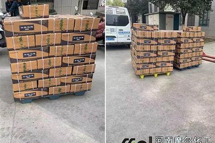 阳光玫瑰可以养在室内阳台吗？