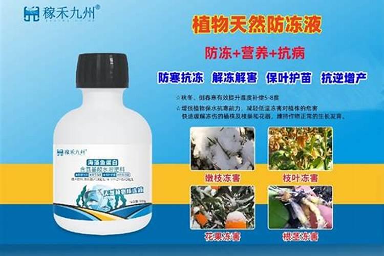 怎么提高大树种植成活率