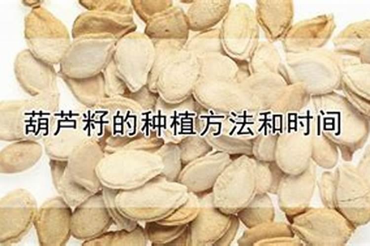 生化黄腐酸钾对植物的作用