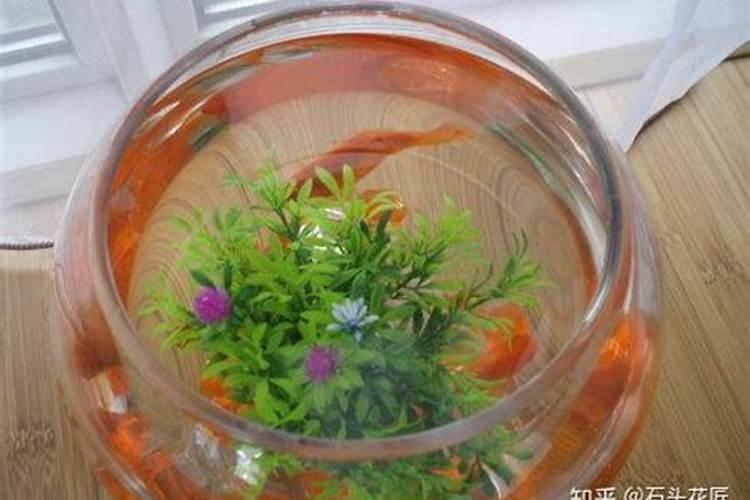 氮磷钾复合肥适合什么花