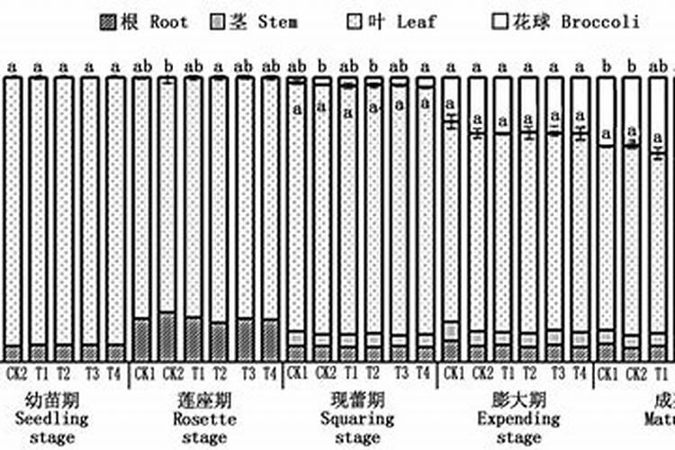 刚结果的花椒树上什么肥好