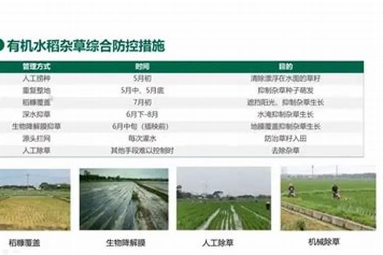 牧高笛12部门发文保障化肥生产 化肥概念股龙头有哪些？
