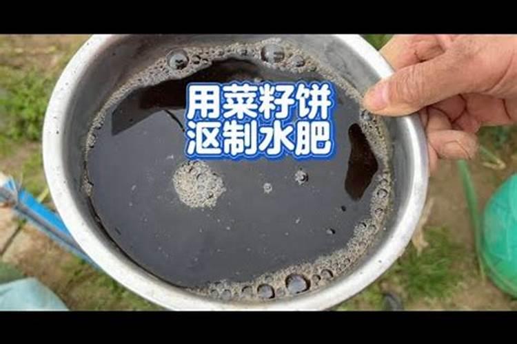 烂菜叶快速发酵成水肥