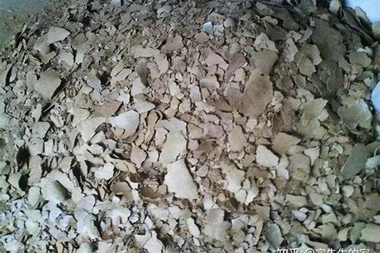 种菜底肥是用钾肥好还是豆饼好