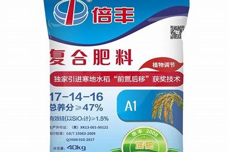 兰花叶子全剪掉什么时候发新芽？