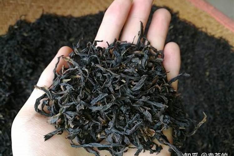 茶树用什么肥料长得快 茶树种植几年可以采摘