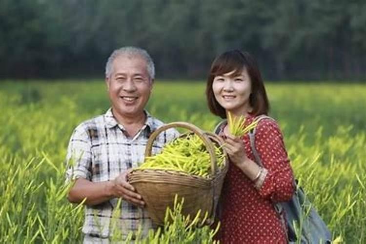 豆角冲什么水溶肥最好