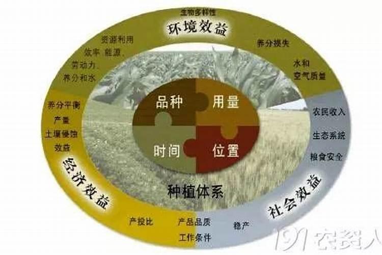 家里用啥替代硼肥