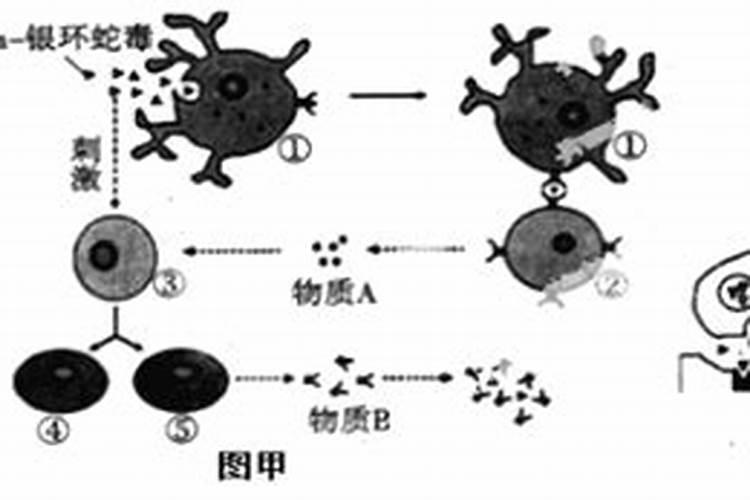 平时我们所吃的米、面、甘薯和马铃薯中,都含有丰富的( )A.维生素B.蛋...
