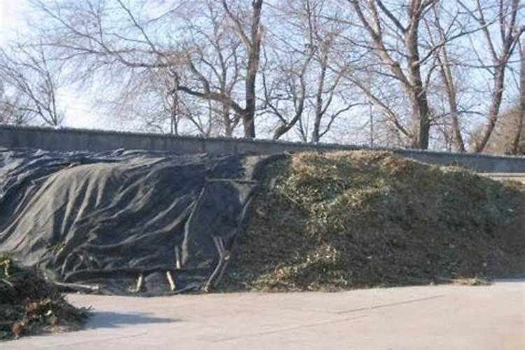 大蒜苗施什么肥最好