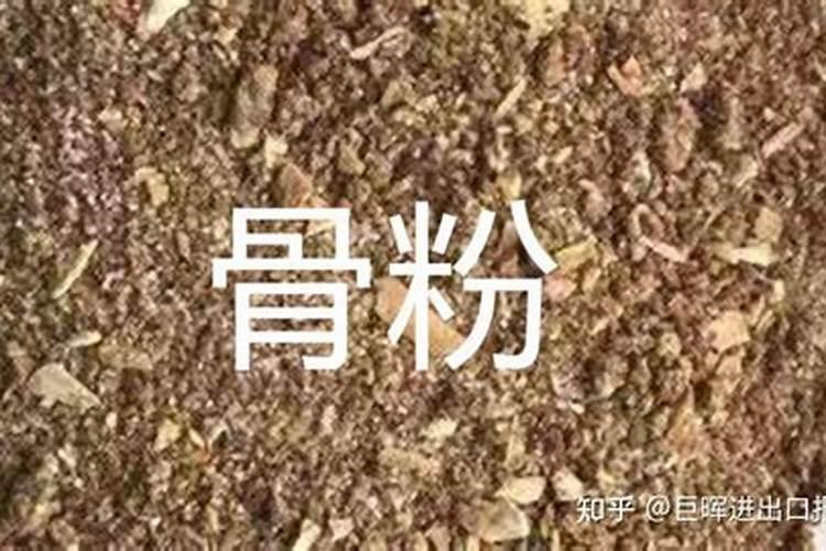 果树常用磷肥有哪些