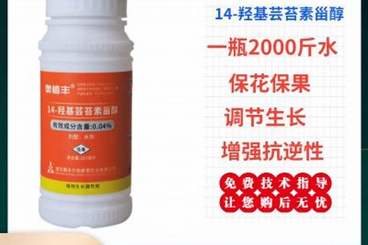 冬小麦应该如何施肥？