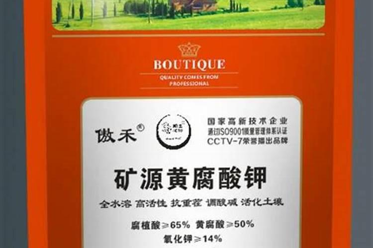 白菜打药什么时间最佳