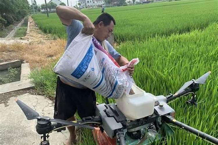 豆饼和黄豆哪个营养价值更高？