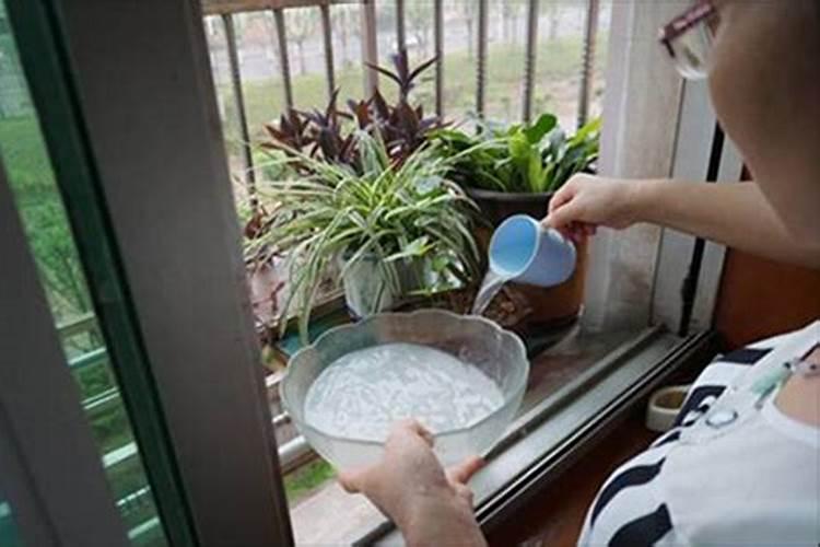 氨基酸肥和腐殖酸肥,哪种生根肥料效果好？