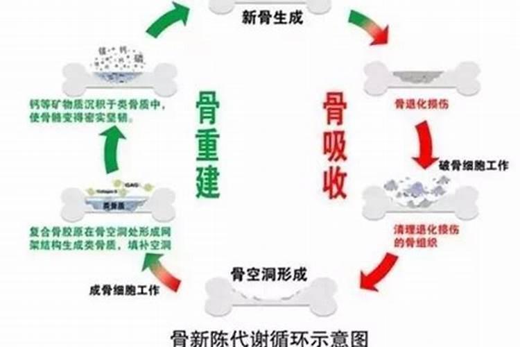 钙镁磷肥对柑橘的作用及功能
