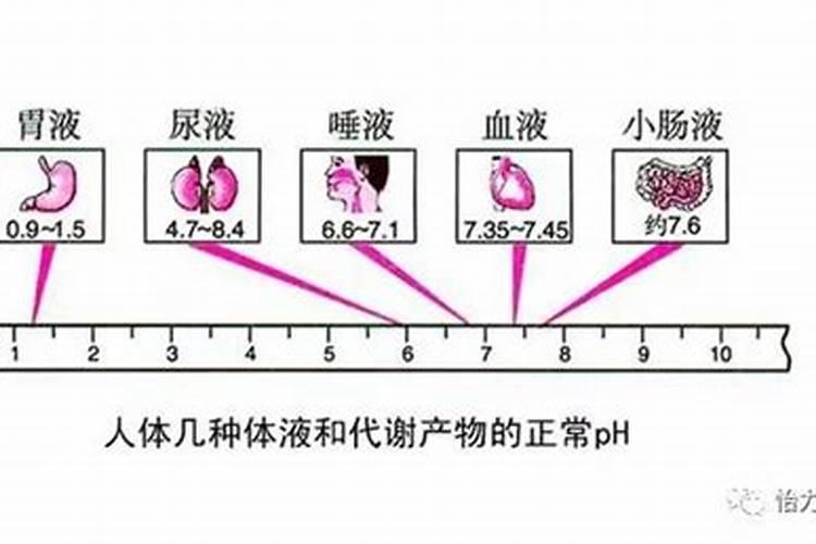 中国尿素生产出口十大企业