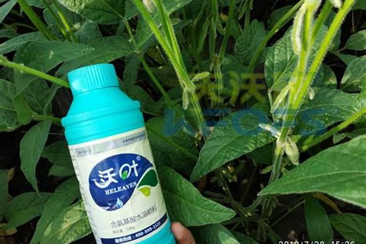 30斤水兑多少矿源酸钾合适