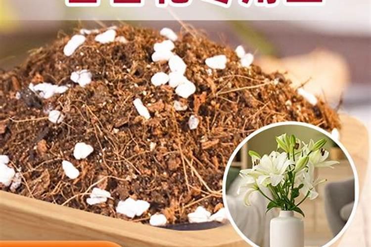 百合施什么肥最好