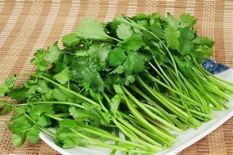 莲藕用什么肥料产量高