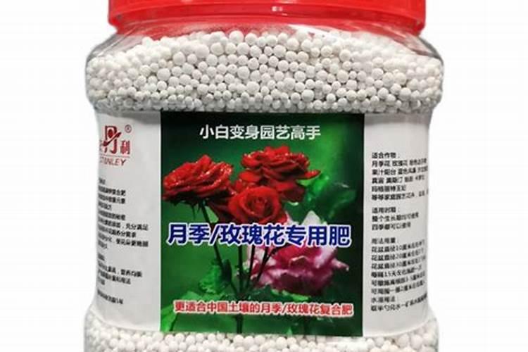 栀子花的养殖方法