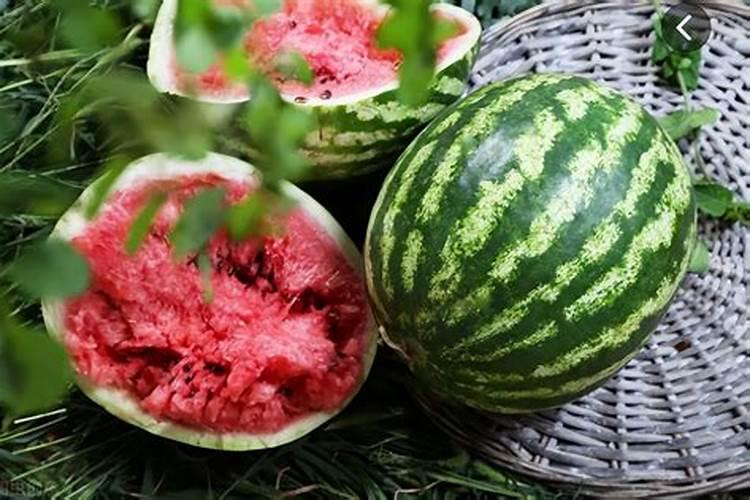 种植西瓜用什么肥料最佳？