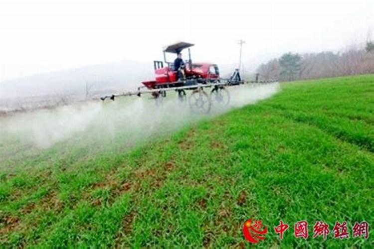 种玉米用什么复合肥做底肥好
