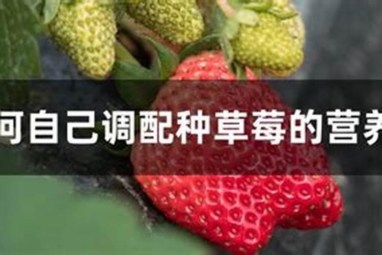 怎样能帮柑橘增加甜味 柑橘增甜的方法有哪些