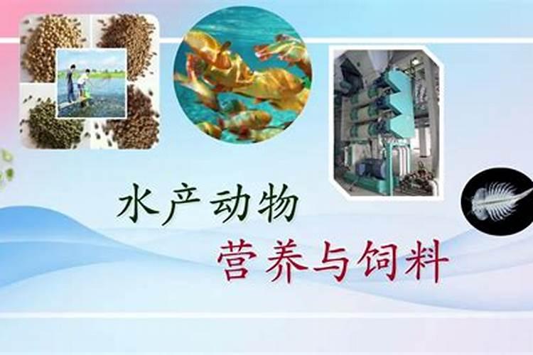 水溶肥是什么肥料