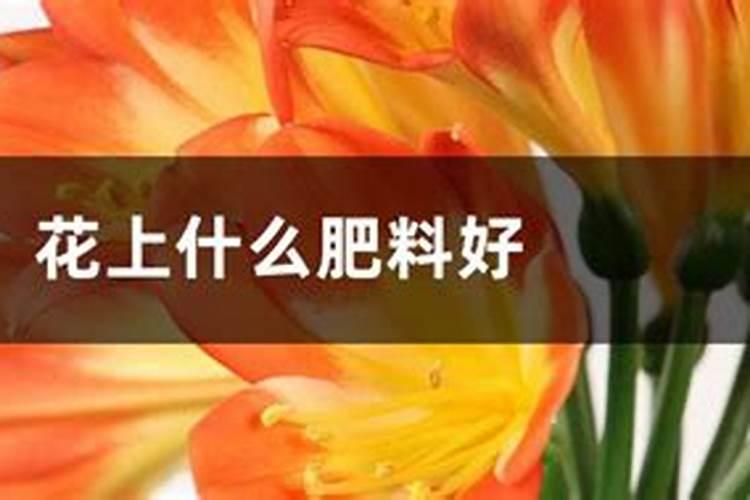 哪些土壤和作物容易缺镁