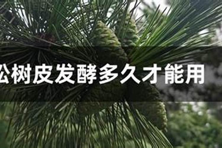哪种叶面用的钙肥吸收好
