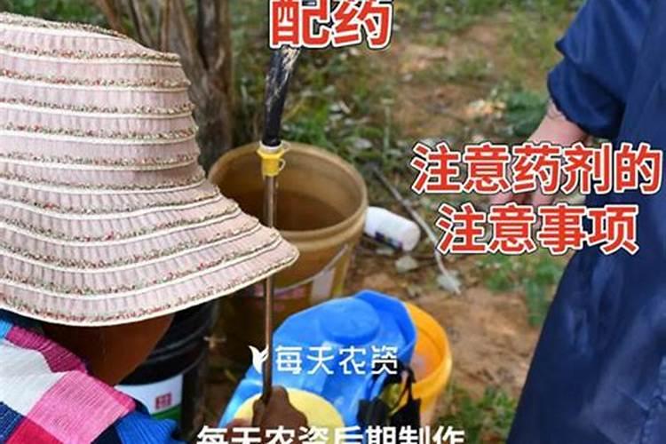 秸秆腐熟菌种秸秆的肥料价值