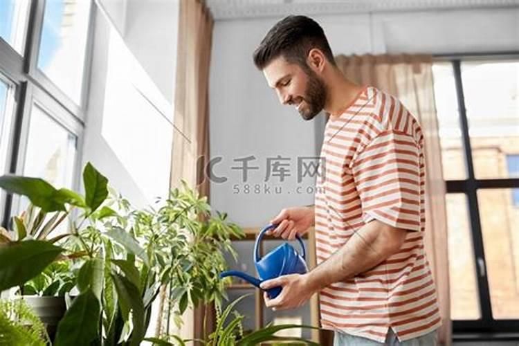 浇花肥水一屋子臭味怎么办