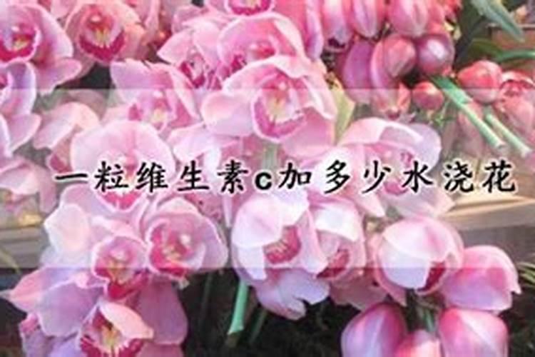 腐殖质包括哪三组