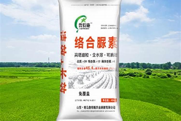 用尿素每天放一点浇花怎么样？