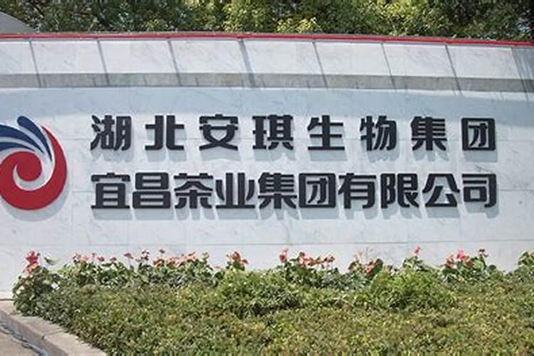 茶叶施磷肥选什么肥 茶叶施磷肥选哪种肥
