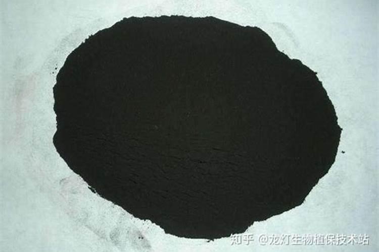 大棚豆角的种植方法