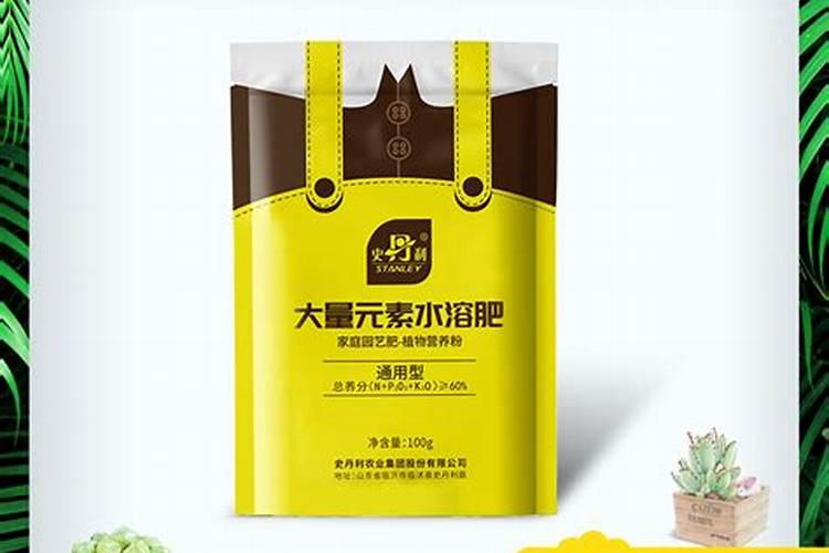 养月季哪种肥料效果更好,生长更旺盛？