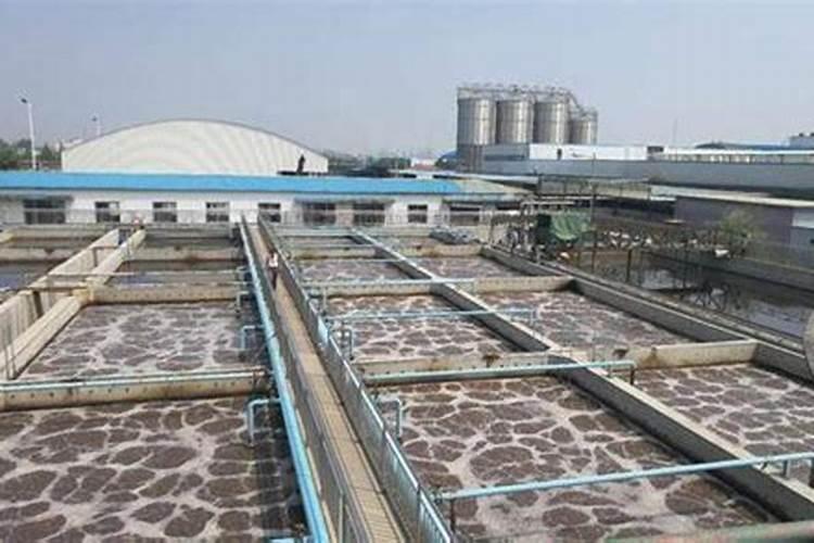 自制红掌肥料