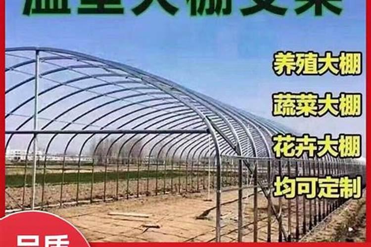 肥料发酵剂和菌肥可以用于果蔬种植么？怎么用