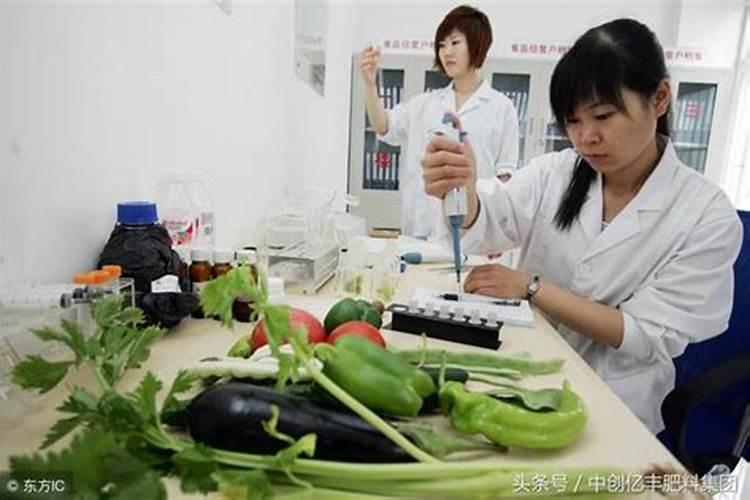 硼肥对红薯有什么作用 最佳使用时间